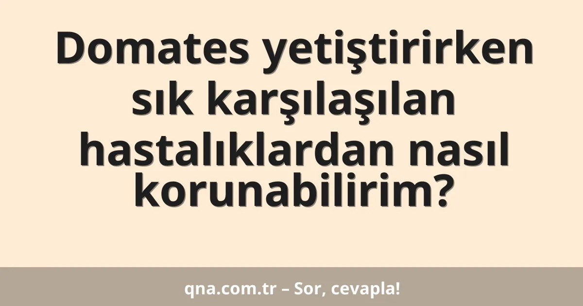 Domates yetiştirirken sık karşılaşılan hastalıklardan nasıl korunabilirim?