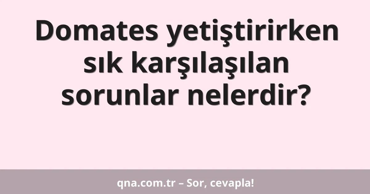 Domates yetiştirirken sık karşılaşılan sorunlar nelerdir?
