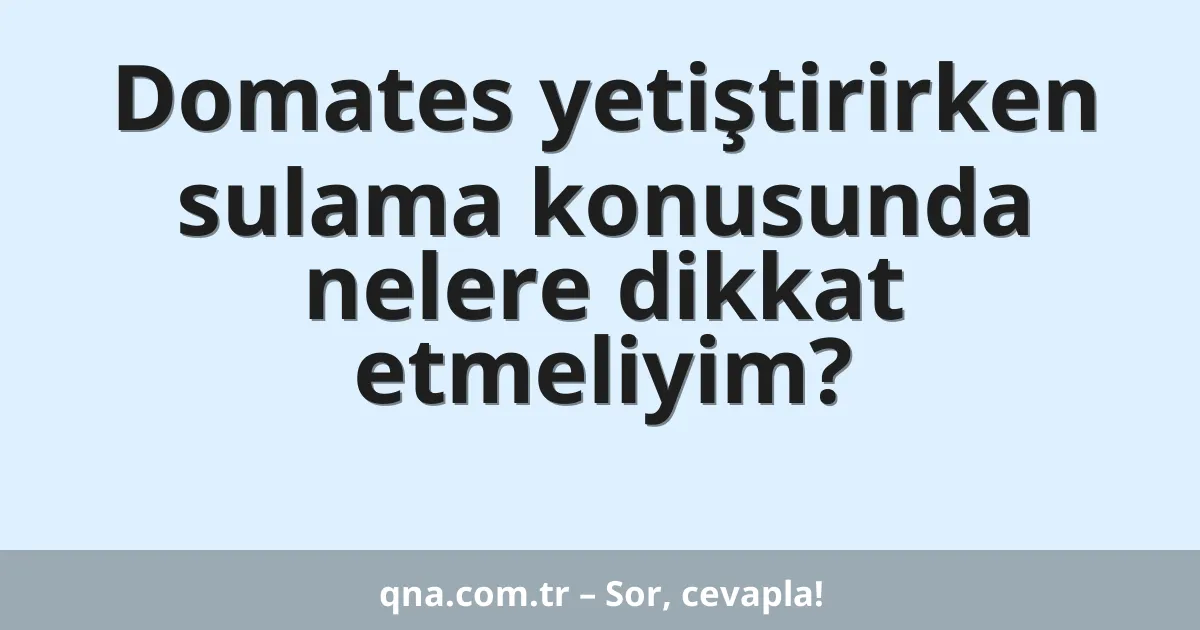 Domates yetiştirirken sulama konusunda nelere dikkat etmeliyim?