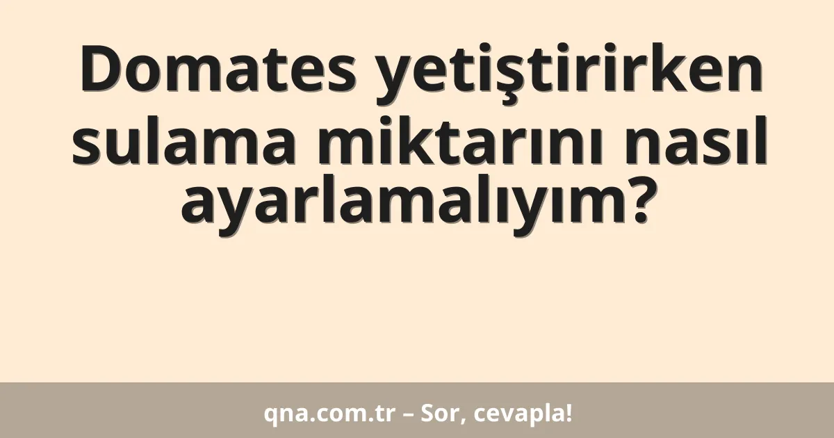 Domates yetiştirirken sulama miktarını nasıl ayarlamalıyım?