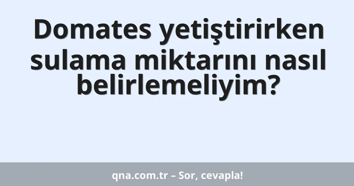 Domates yetiştirirken sulama miktarını nasıl belirlemeliyim?