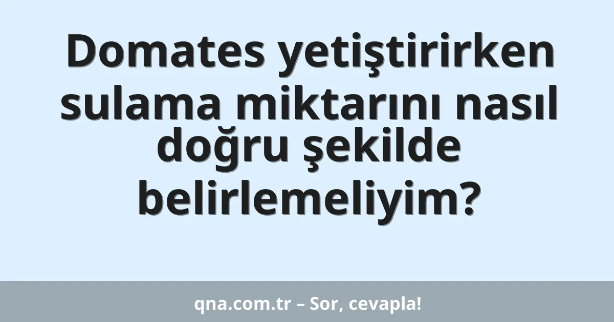 Domates yetiştirirken sulama miktarını nasıl doğru şekilde belirlemeliyim?