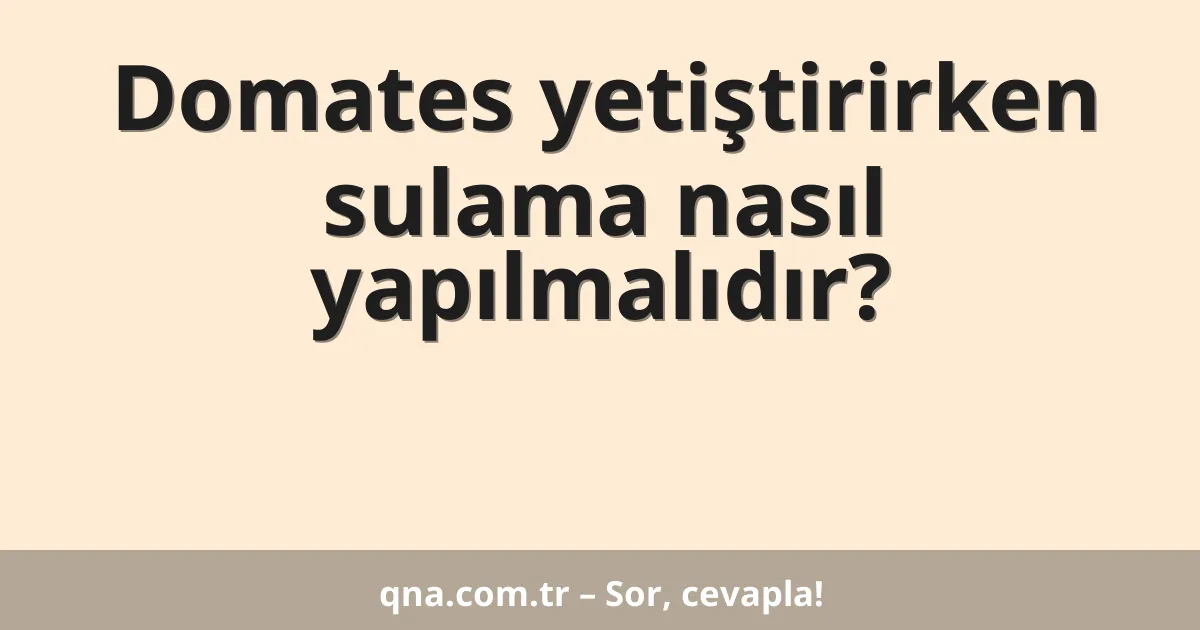 Domates yetiştirirken sulama nasıl yapılmalıdır?