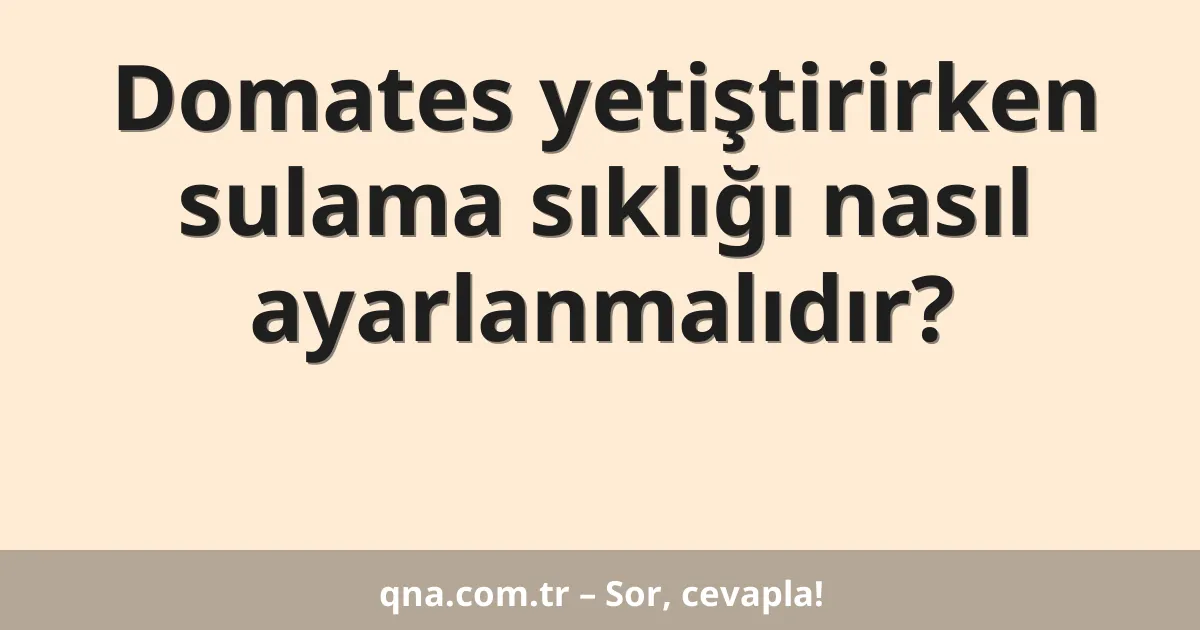 Domates yetiştirirken sulama sıklığı nasıl ayarlanmalıdır?