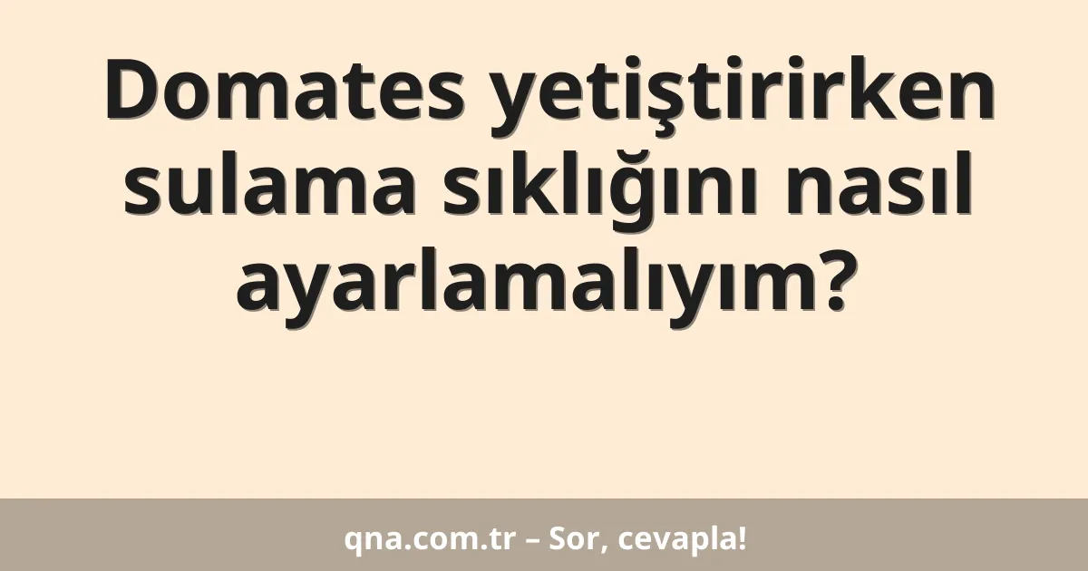 Domates yetiştirirken sulama sıklığını nasıl ayarlamalıyım?