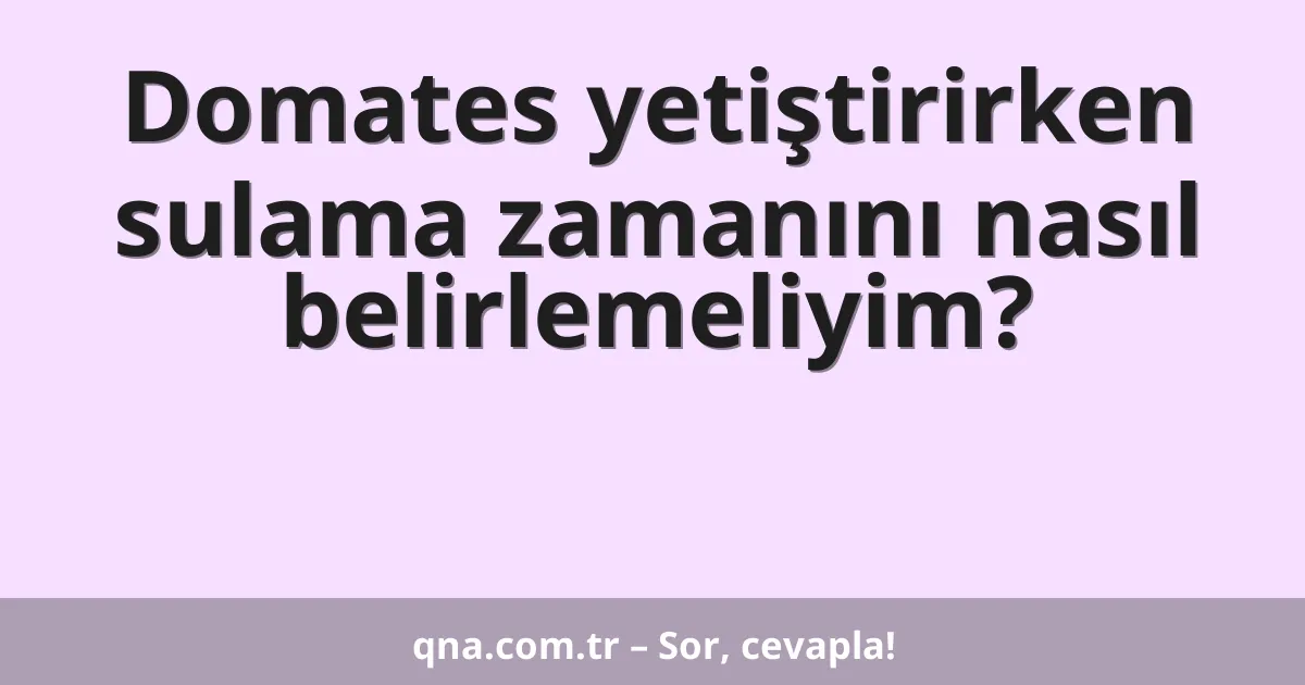 Domates yetiştirirken sulama zamanını nasıl belirlemeliyim?