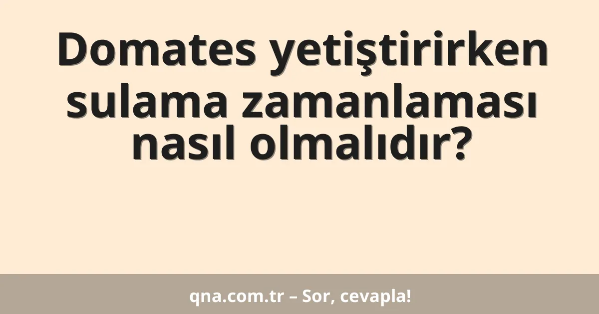 Domates yetiştirirken sulama zamanlaması nasıl olmalıdır?
