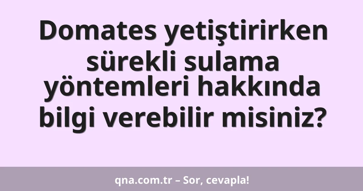 Domates yetiştirirken sürekli sulama yöntemleri hakkında bilgi verebilir misiniz?