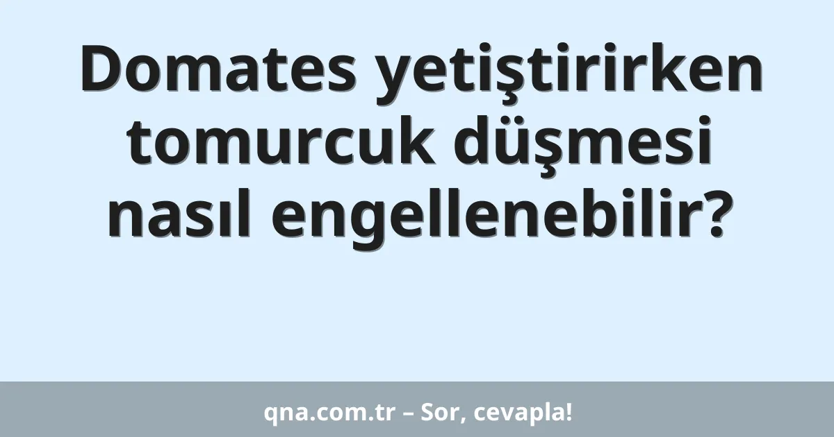 Domates yetiştirirken tomurcuk düşmesi nasıl engellenebilir?