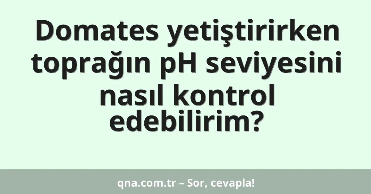Domates yetiştirirken toprağın pH seviyesini nasıl kontrol edebilirim?
