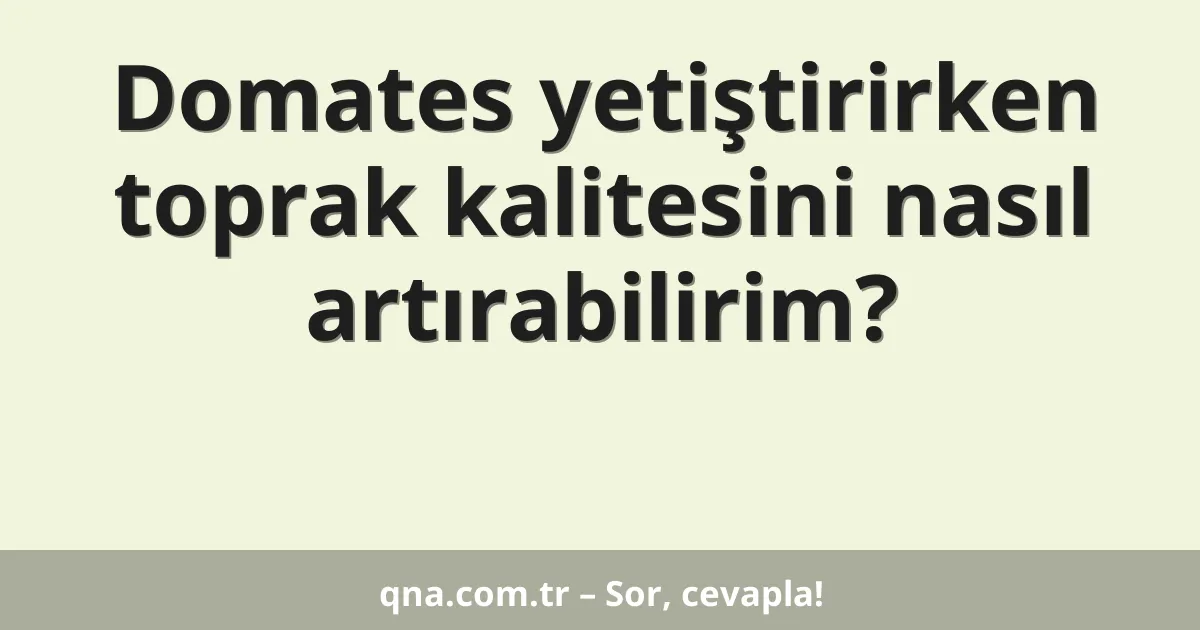 Domates yetiştirirken toprak kalitesini nasıl artırabilirim?