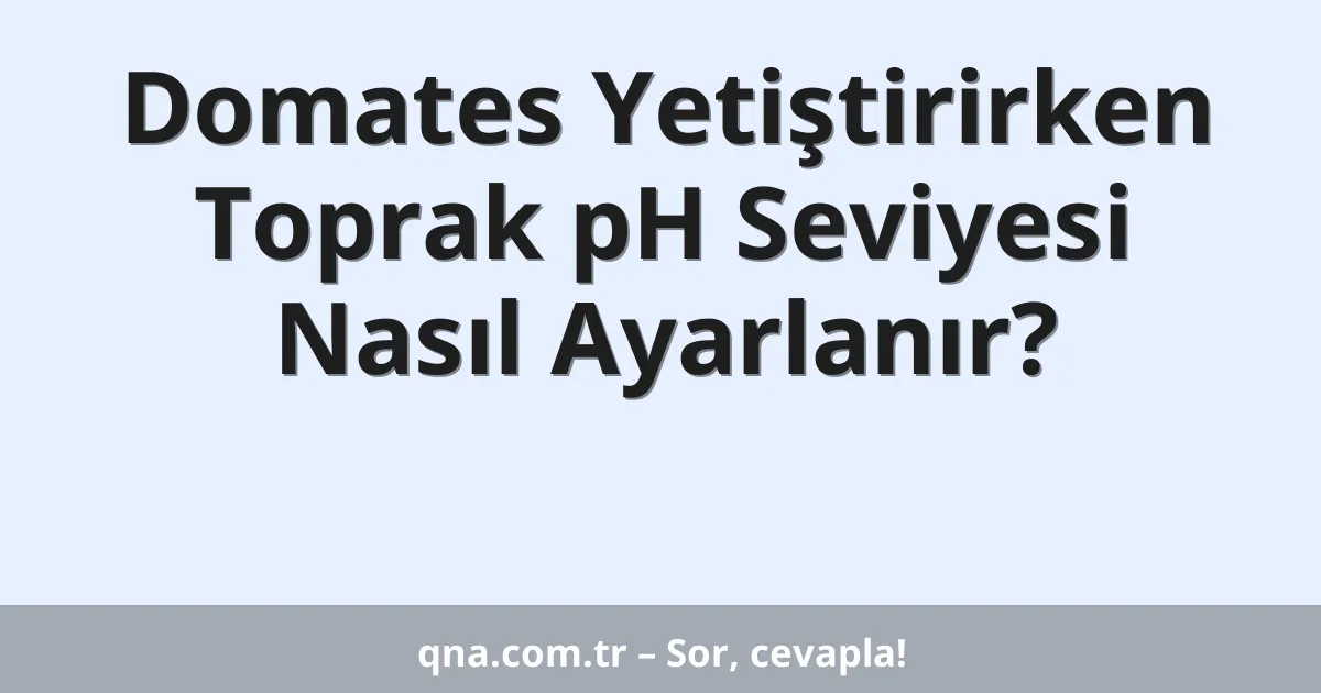 Domates yetiştirirken toprak pH seviyesini nasıl ayarlamalıyım?