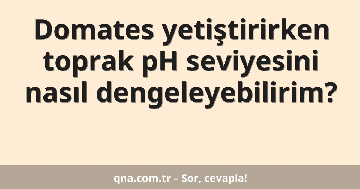 Domates yetiştirirken toprak pH seviyesini nasıl dengeleyebilirim?