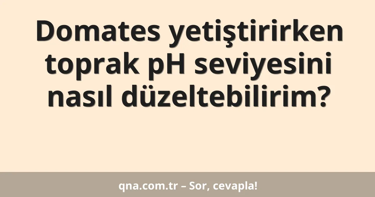 Domates yetiştirirken toprak pH seviyesini nasıl düzeltebilirim?