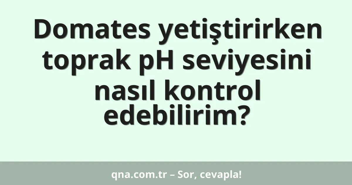 Domates yetiştirirken toprak pH seviyesini nasıl kontrol edebilirim?