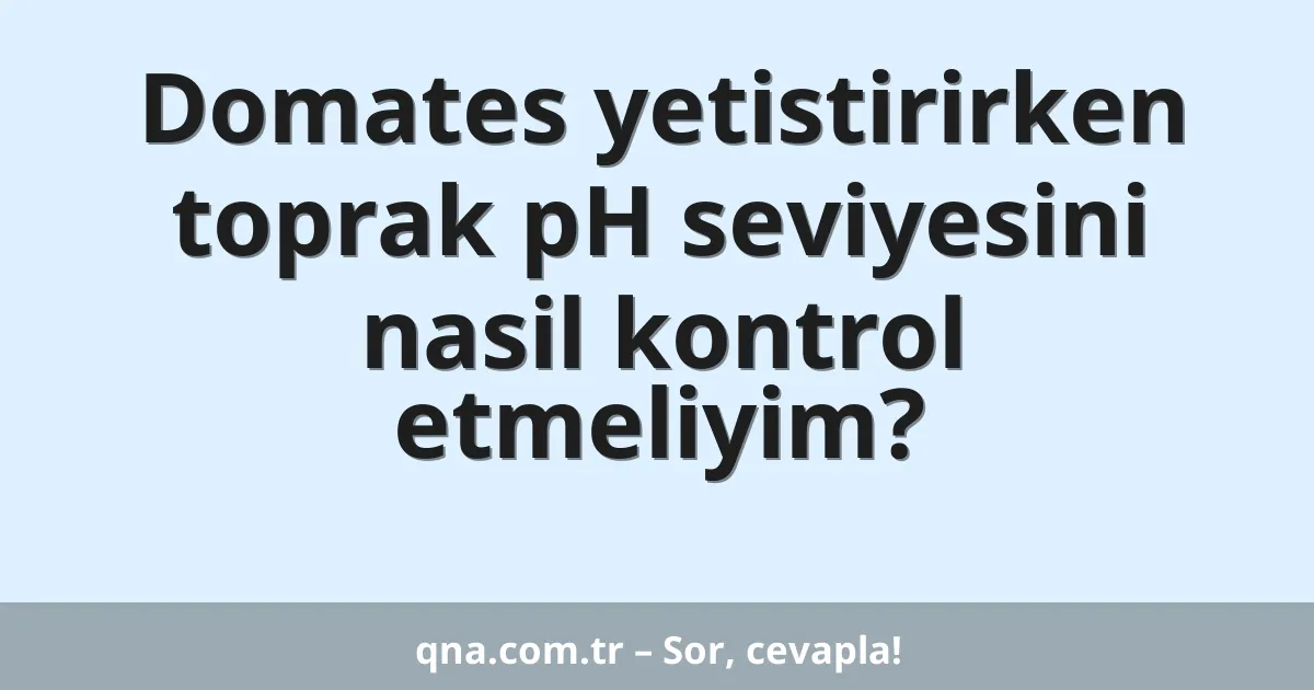 Domates yetistirirken toprak pH seviyesini nasil kontrol etmeliyim?