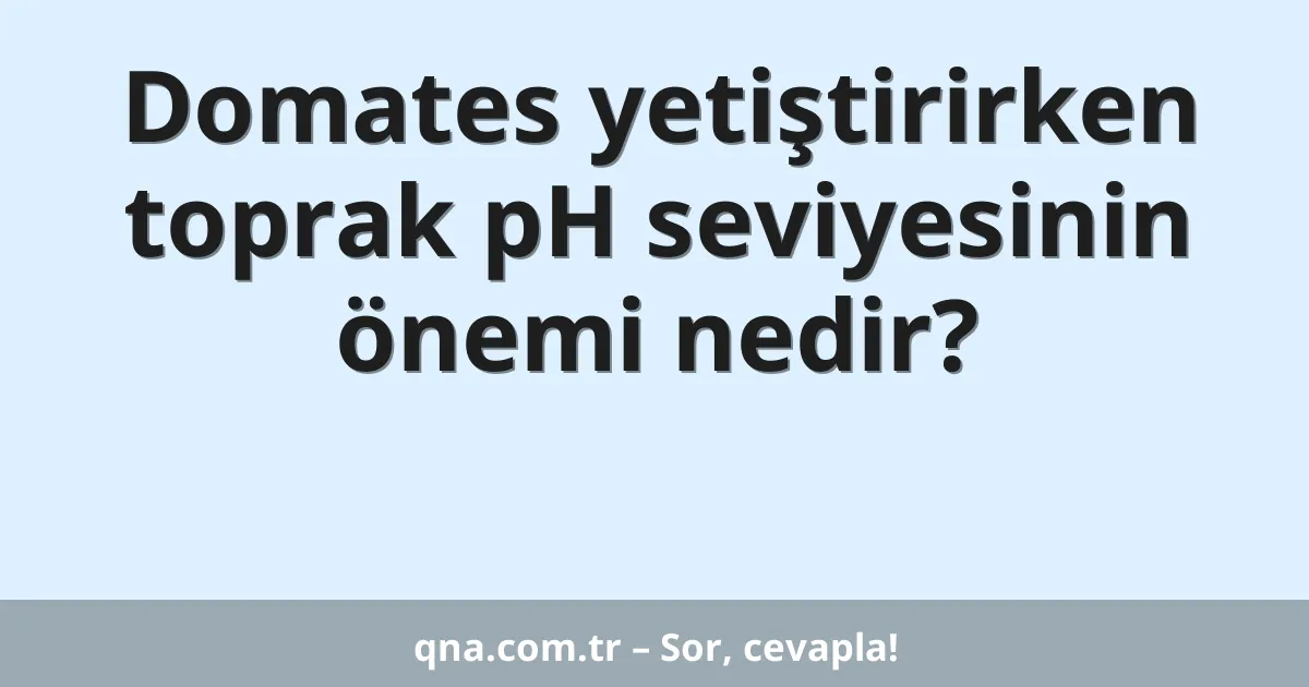 Domates yetiştirirken toprak pH seviyesinin önemi nedir?