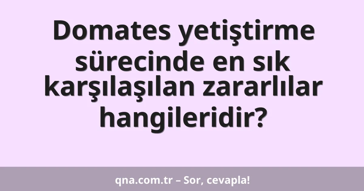 Domates yetiştirme sürecinde en sık karşılaşılan zararlılar hangileridir?