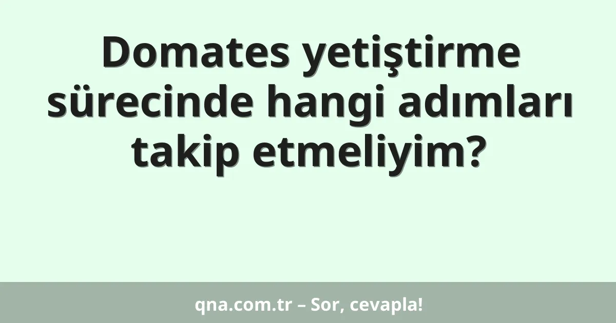 Domates yetiştirme sürecinde hangi adımları takip etmeliyim?