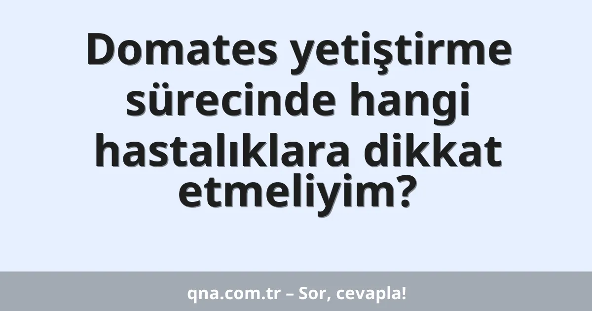 Domates yetiştirme sürecinde hangi hastalıklara dikkat etmeliyim?