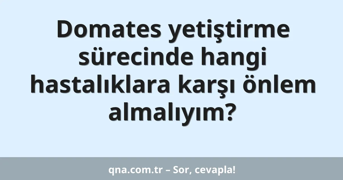 Domates yetiştirme sürecinde hangi hastalıklara karşı önlem almalıyım?