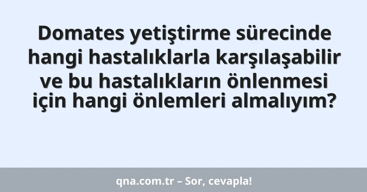 Domates yetiştirme sürecinde hangi hastalıklarla karşılaşabilir ve bu hastalıkların önlenmesi için hangi önlemleri almalıyım?