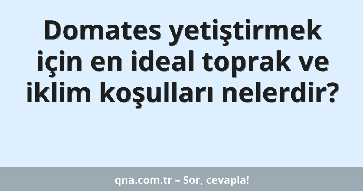 Domates yetiştirmek için en ideal toprak ve iklim koşulları nelerdir?