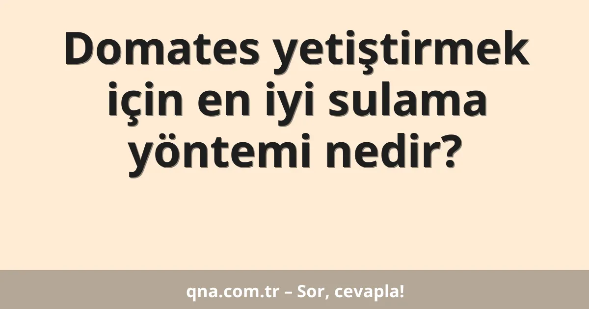 Domates yetiştirmek için en iyi sulama yöntemi nedir?