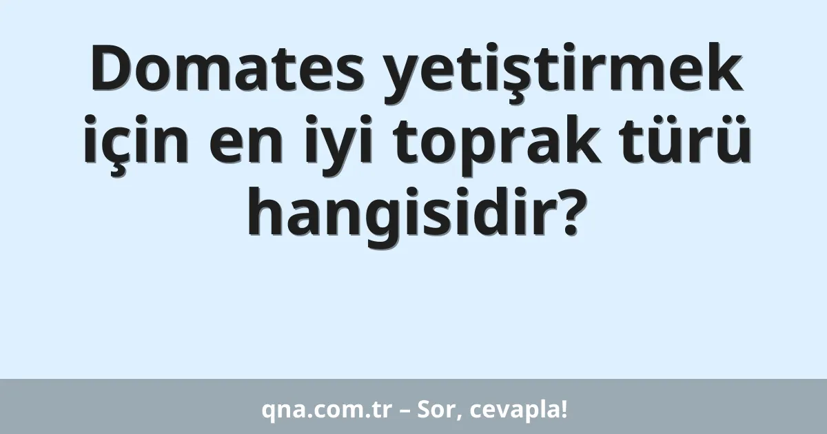 Domates yetiştirmek için en iyi toprak türü hangisidir?