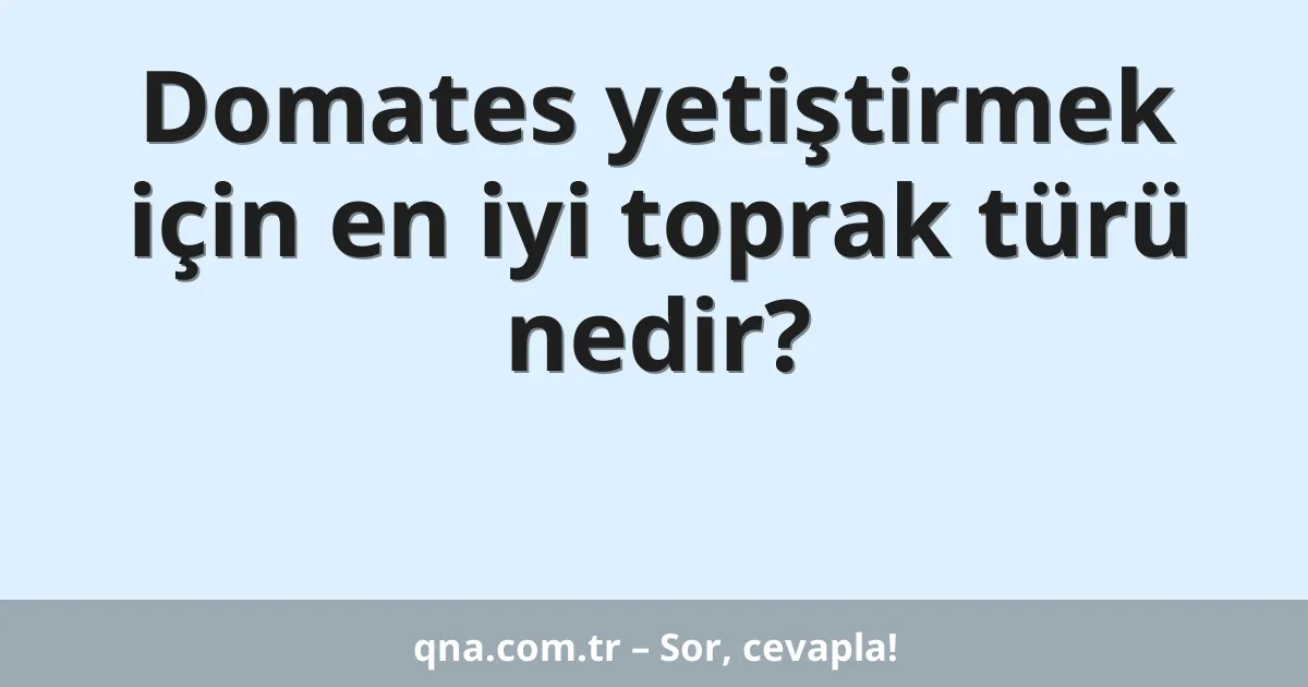 Domates yetiştirmek için en iyi toprak türü nedir?