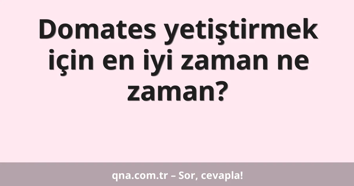 Domates yetiştirmek için en iyi zaman ne zaman?
