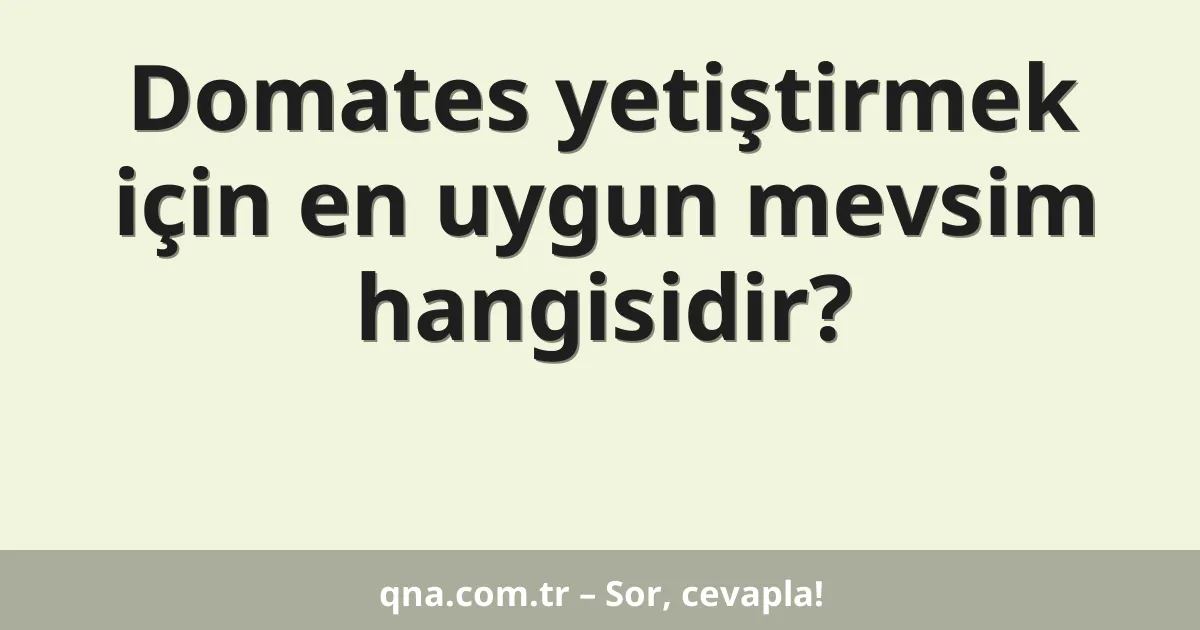 Domates yetiştirmek için en uygun mevsim hangisidir?