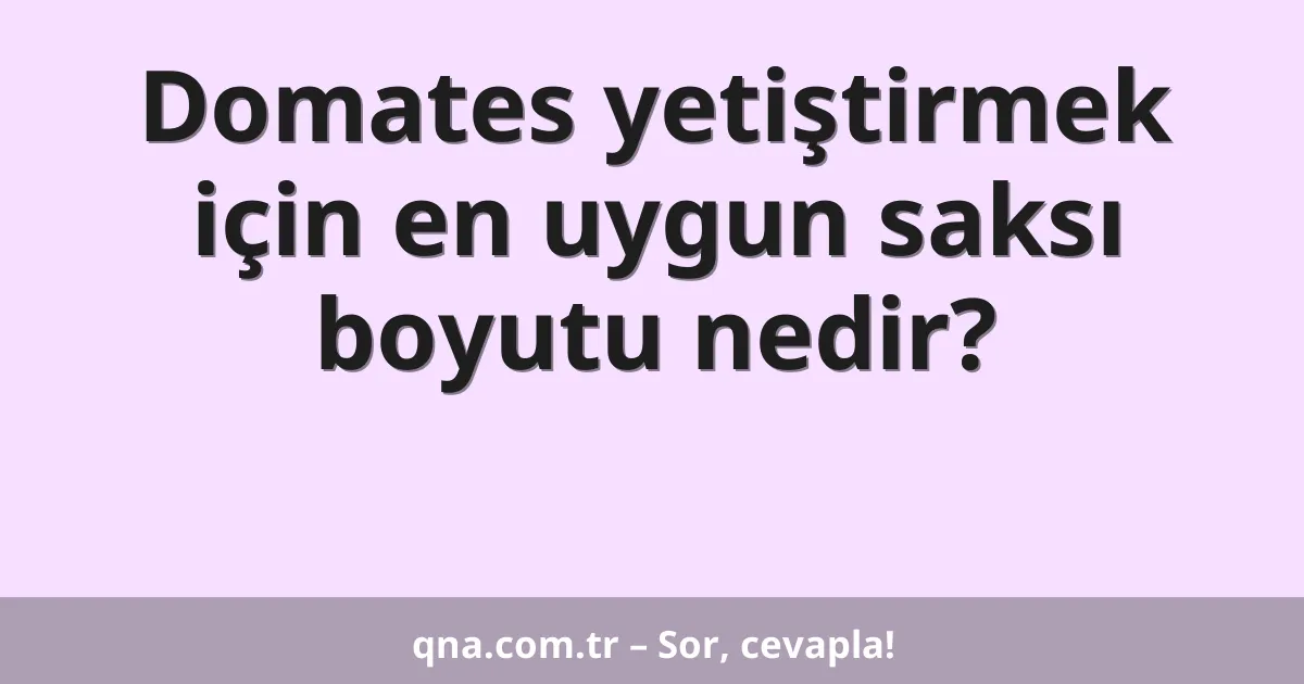 Domates yetiştirmek için en uygun saksı boyutu nedir?