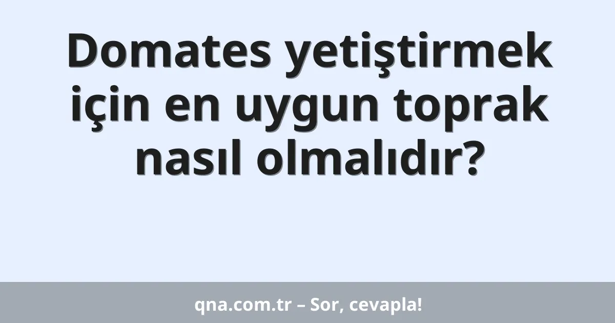 Domates yetiştirmek için en uygun toprak nasıl olmalıdır?