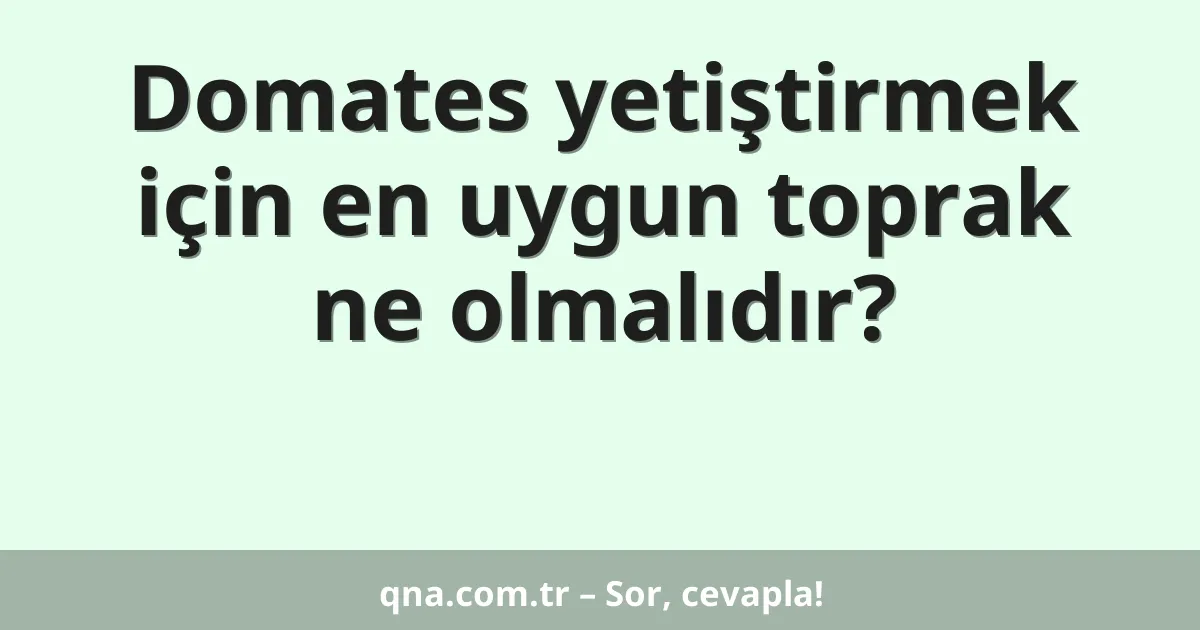 Domates yetiştirmek için en uygun toprak ne olmalıdır?