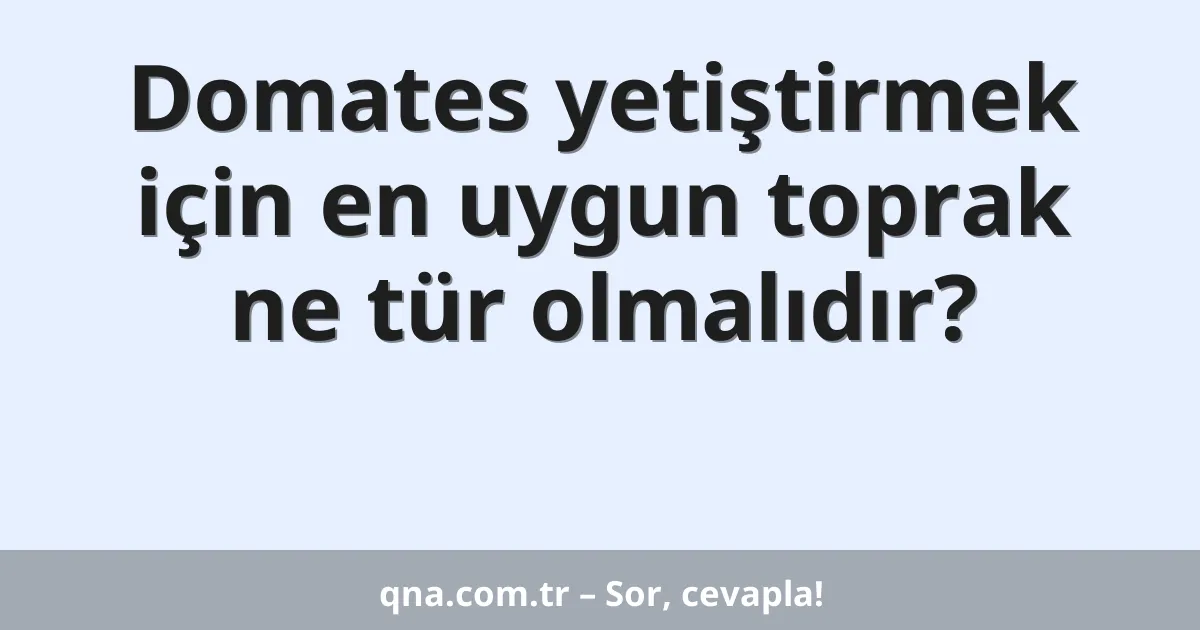 Domates yetiştirmek için en uygun toprak ne tür olmalıdır?