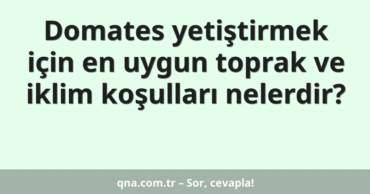 Domates yetiştirmek için en uygun toprak ve iklim koşulları nelerdir?