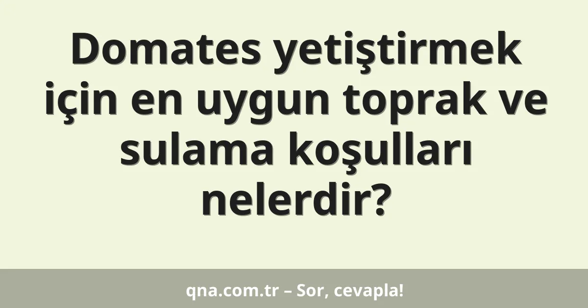 Domates yetiştirmek için en uygun toprak ve sulama koşulları nelerdir?