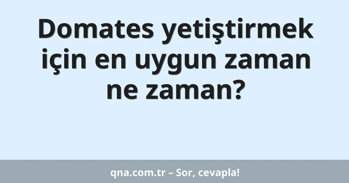 Domates yetiştirmek için en uygun zaman ne zaman?