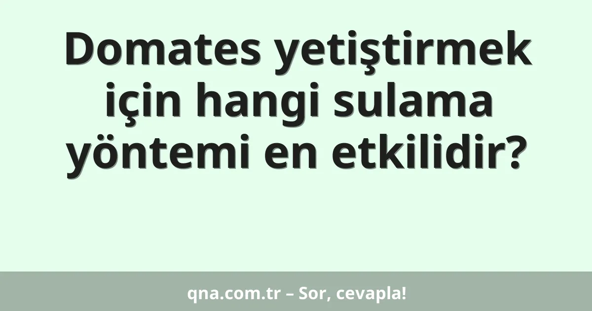 Domates yetiştirmek için hangi sulama yöntemi en etkilidir?