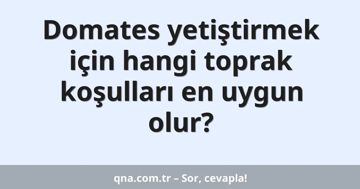 Domates yetiştirmek için hangi toprak koşulları en uygun olur?