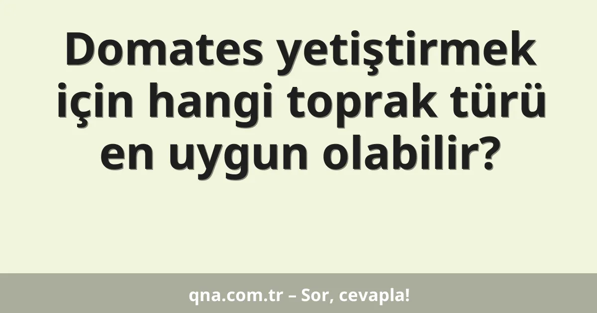 Domates yetiştirmek için hangi toprak türü en uygun olabilir?