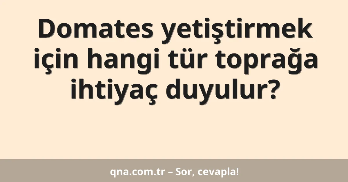 Domates yetiştirmek için hangi tür toprağa ihtiyaç duyulur?