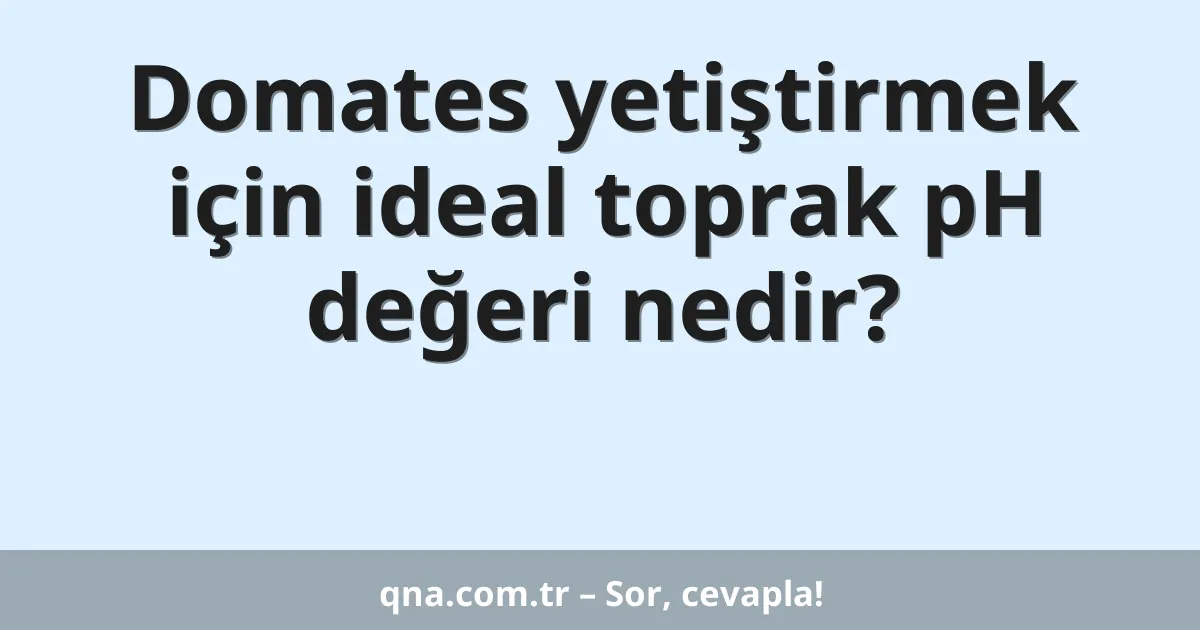 Domates yetiştirmek için ideal toprak pH değeri nedir?
