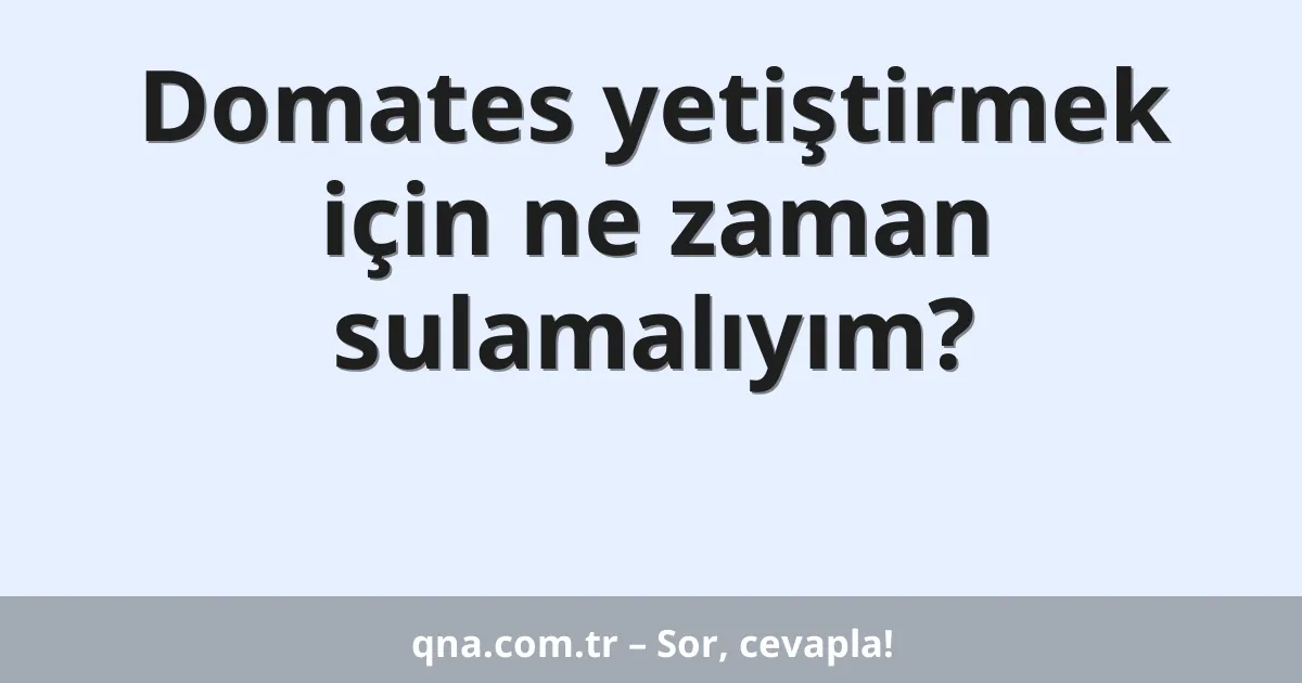 Domates yetiştirmek için ne zaman sulamalıyım?