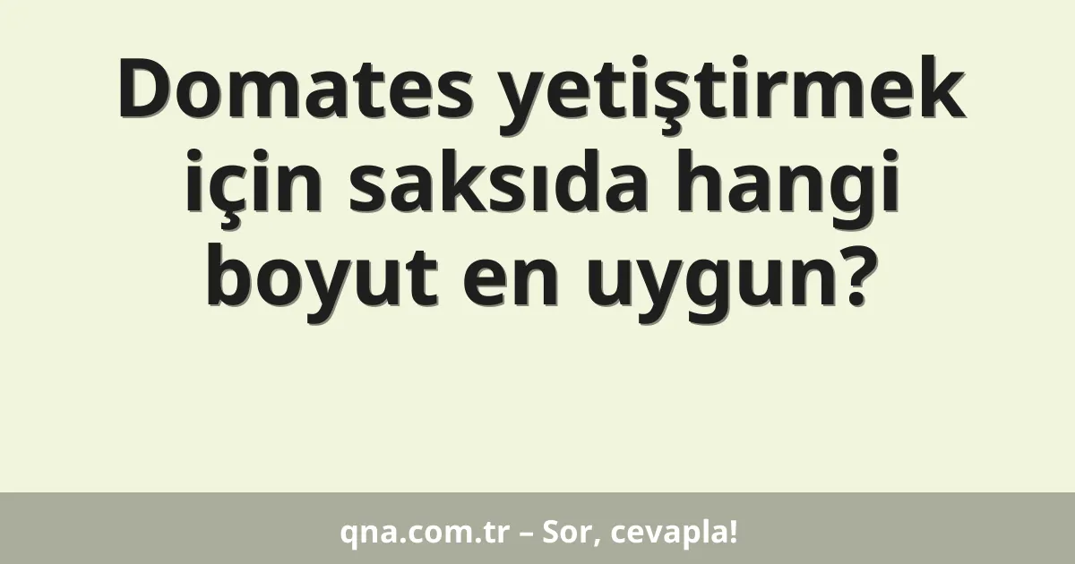 Domates yetiştirmek için saksıda hangi boyut en uygun?