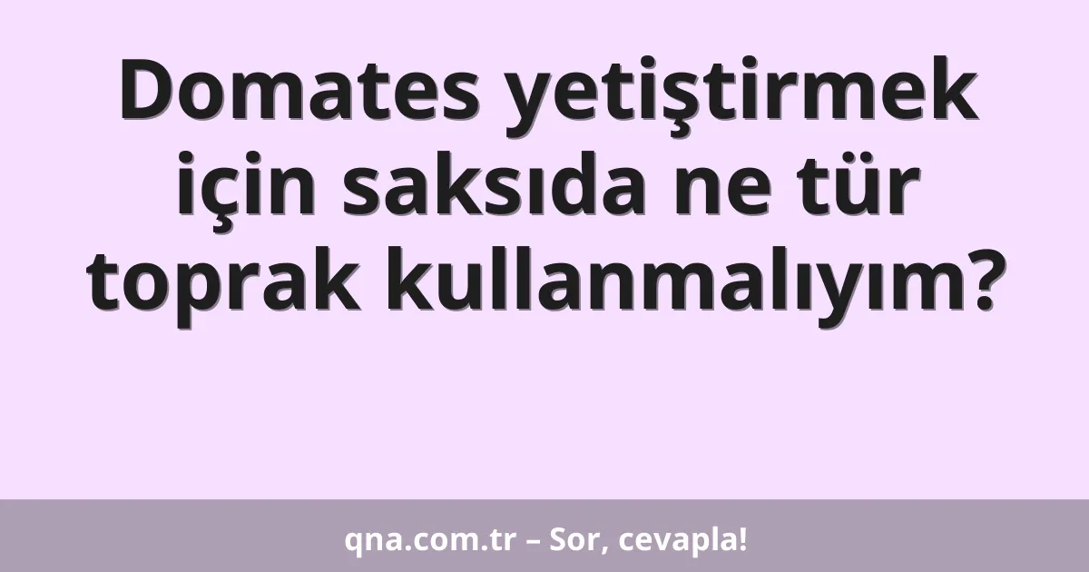 Domates yetiştirmek için saksıda ne tür toprak kullanmalıyım?