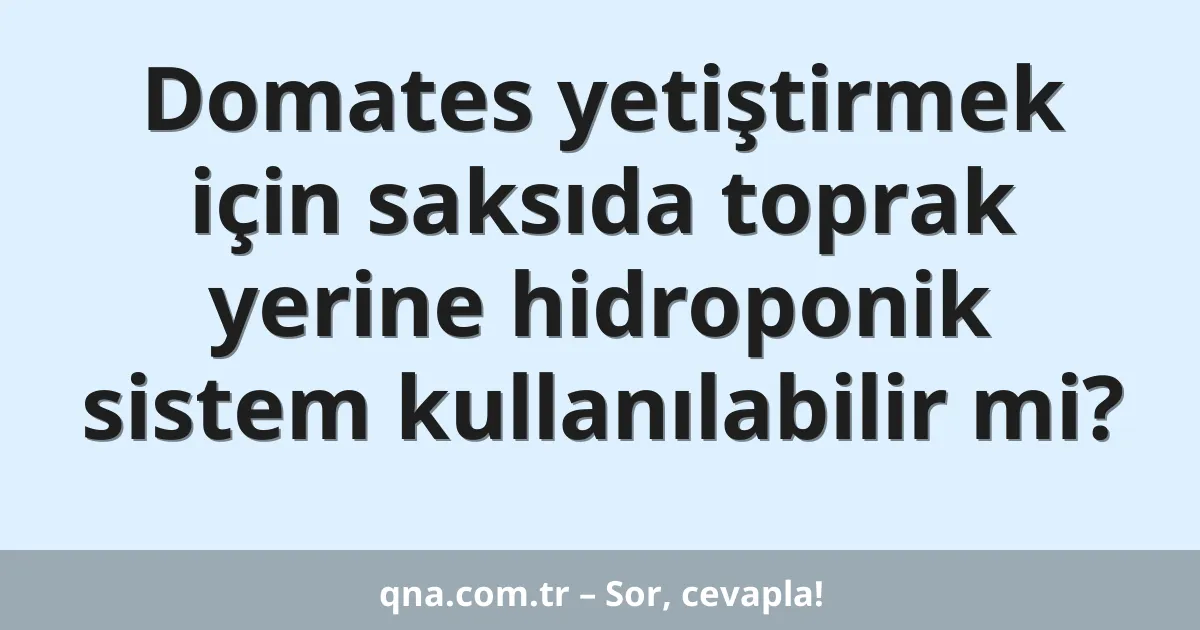 Domates yetiştirmek için saksıda toprak yerine hidroponik sistem kullanılabilir mi?