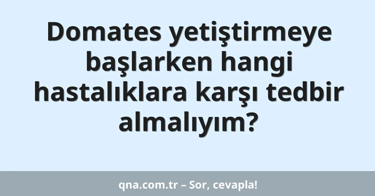 Domates yetiştirmeye başlarken hangi hastalıklara karşı tedbir almalıyım?