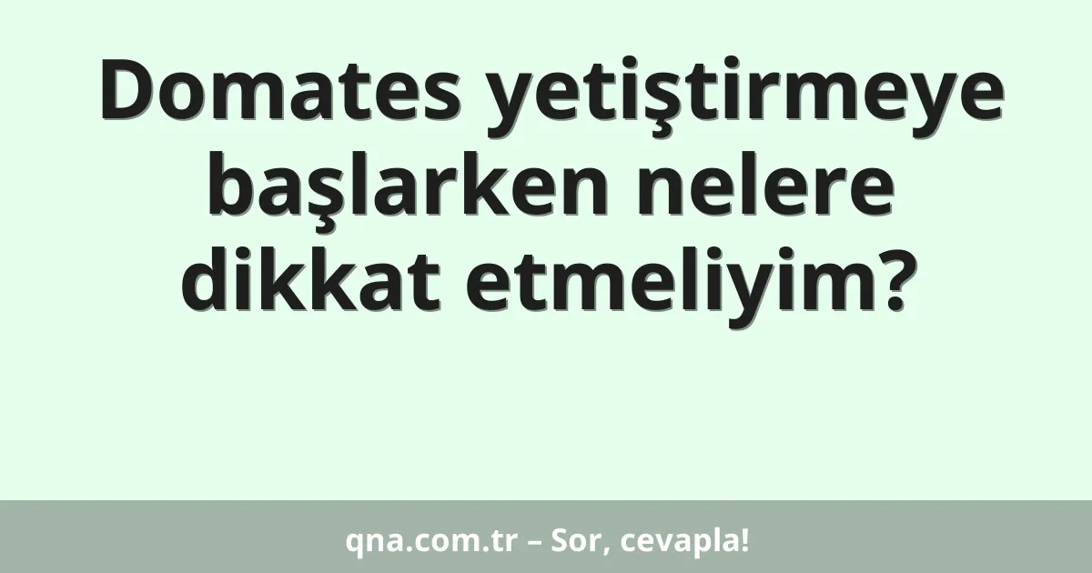 Domates yetiştirmeye başlarken nelere dikkat etmeliyim?
